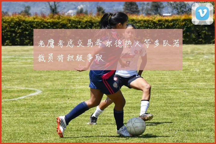 老鹰考虑交易希尔德热火等多队若裁员将积极争取