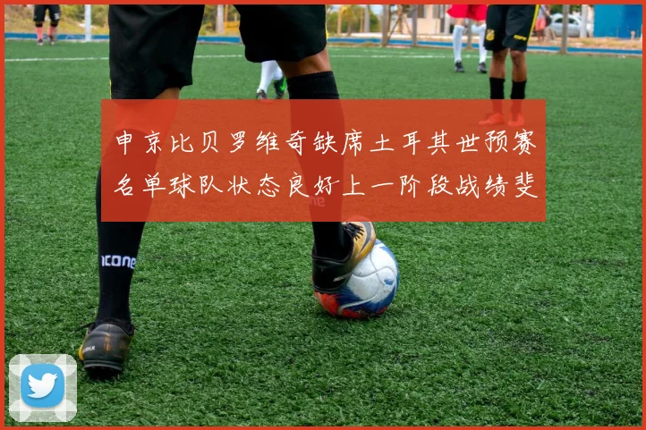 申京比贝罗维奇缺席土耳其世预赛名单球队状态良好上一阶段战绩斐然